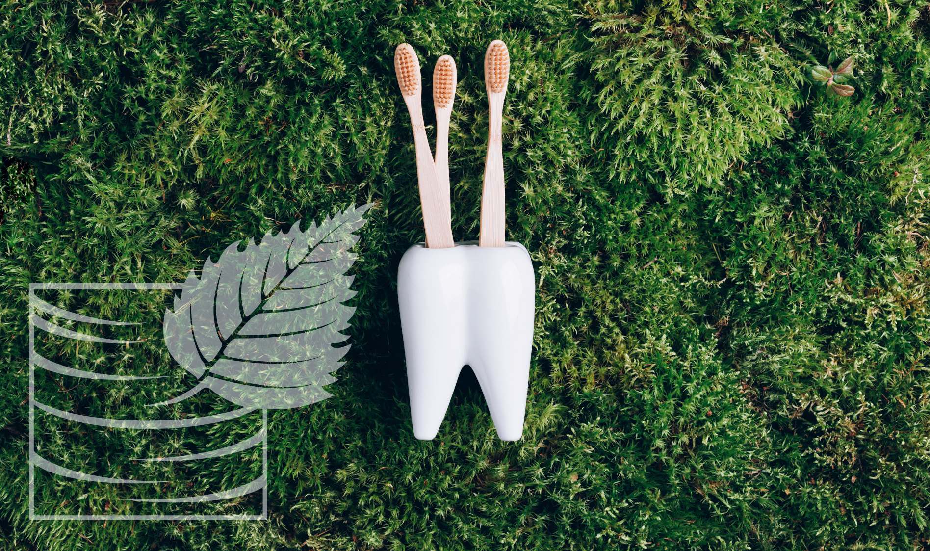 Holistic oral care is best.